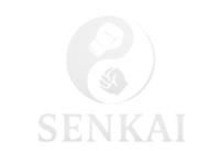 SENKAI Fightwear